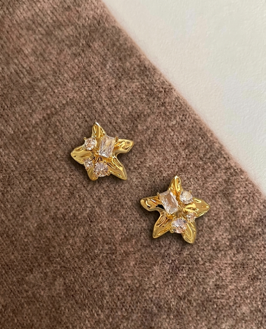 立體海星鋯石耳釘